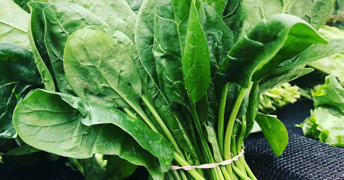 ほうれん草の写真