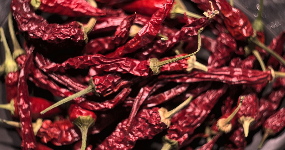 乾燥した唐辛子の写真