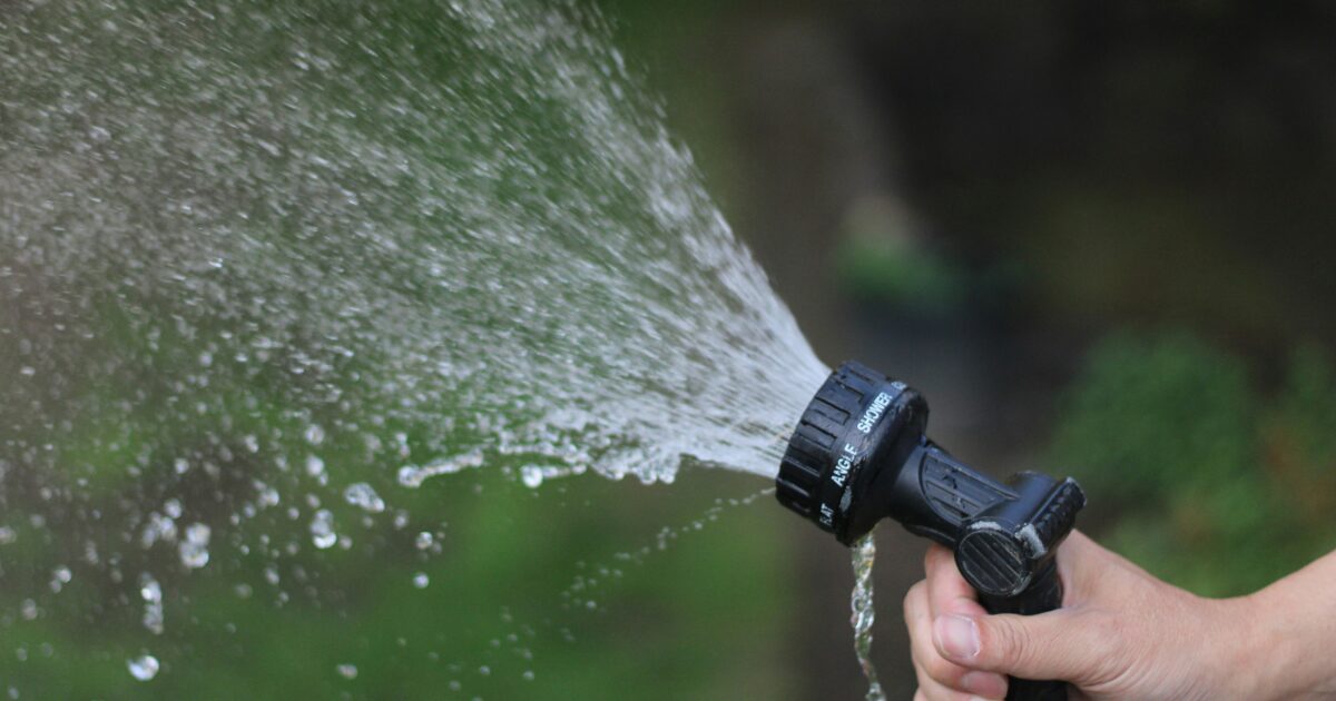 水やりしている様子