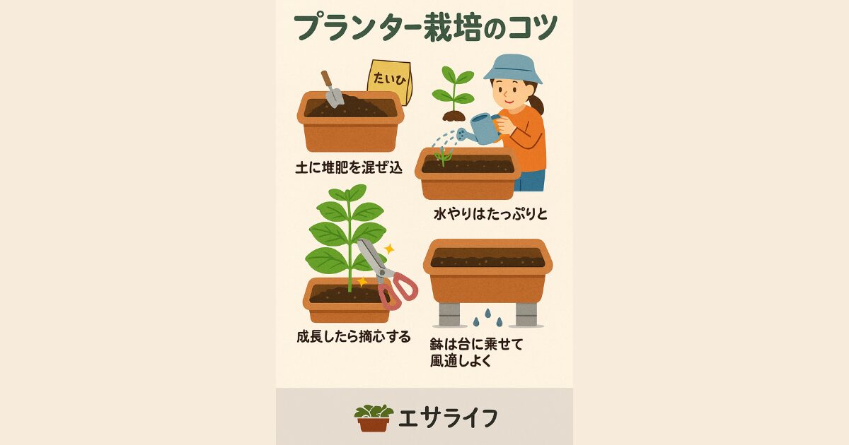 プランターの栽培のコツの図解