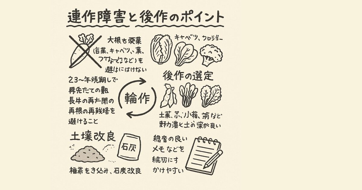 大根の連作障害の図解