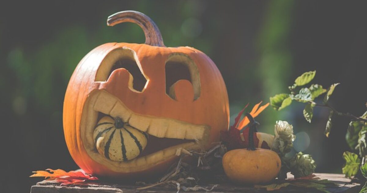 ハロウィンの写真