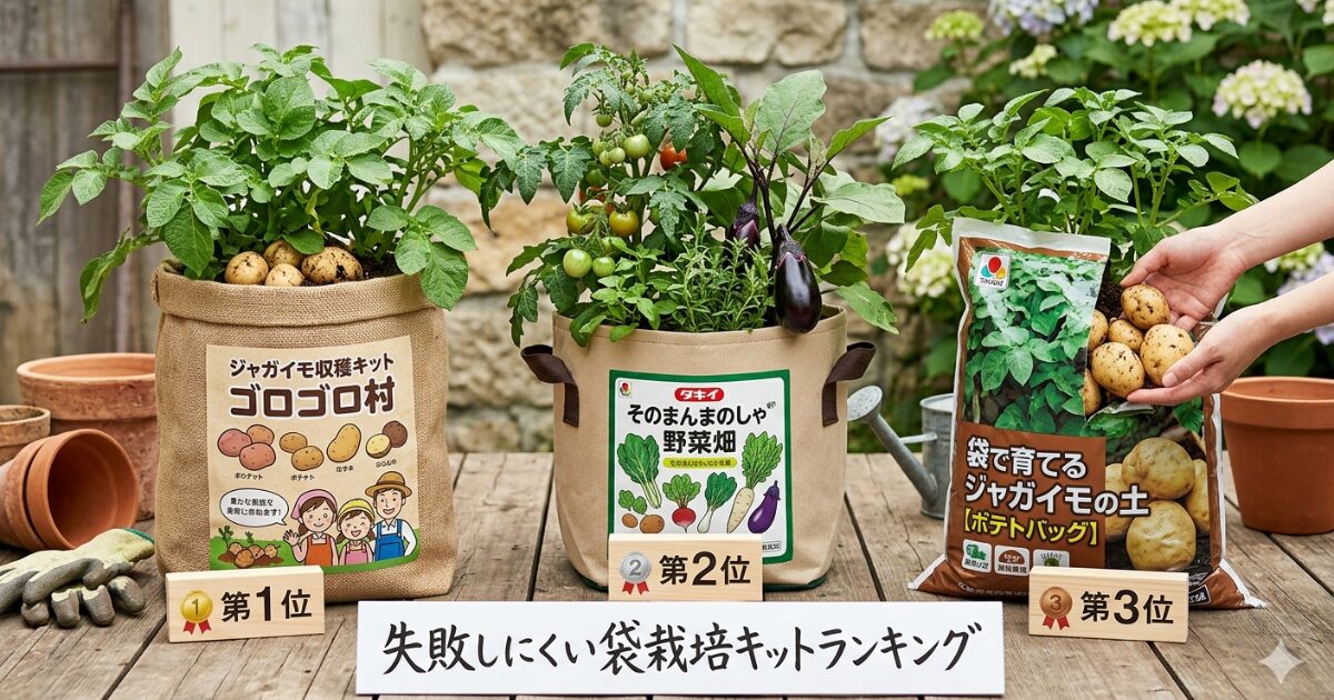 袋栽培キットおすすめランキングのイメージ図