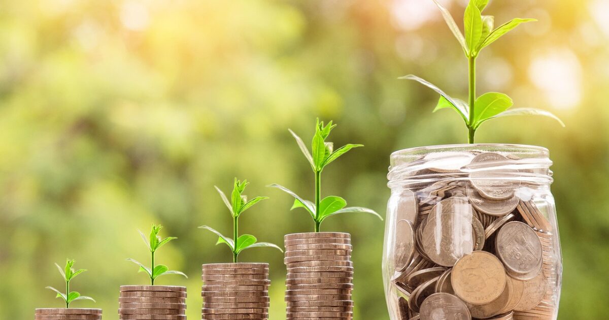 お金と芽のイメージ図