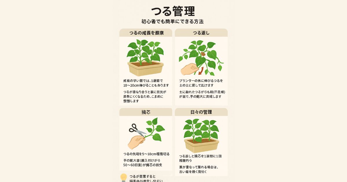 さつまいものつる管理の図解