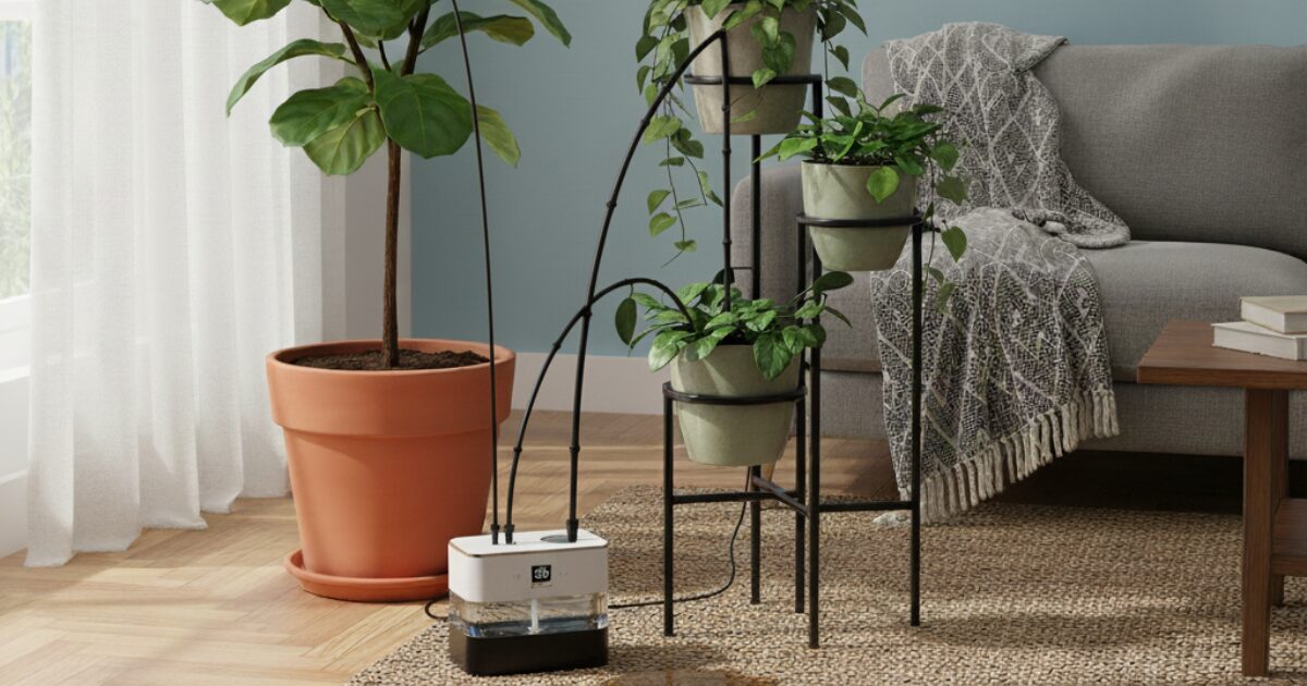 室内の自動水やり機のイメージ図