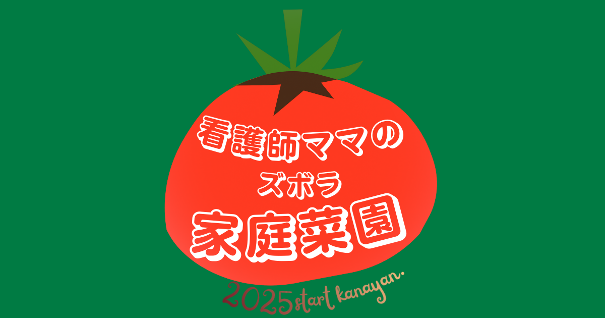 看護師ママのズボラ家庭菜園