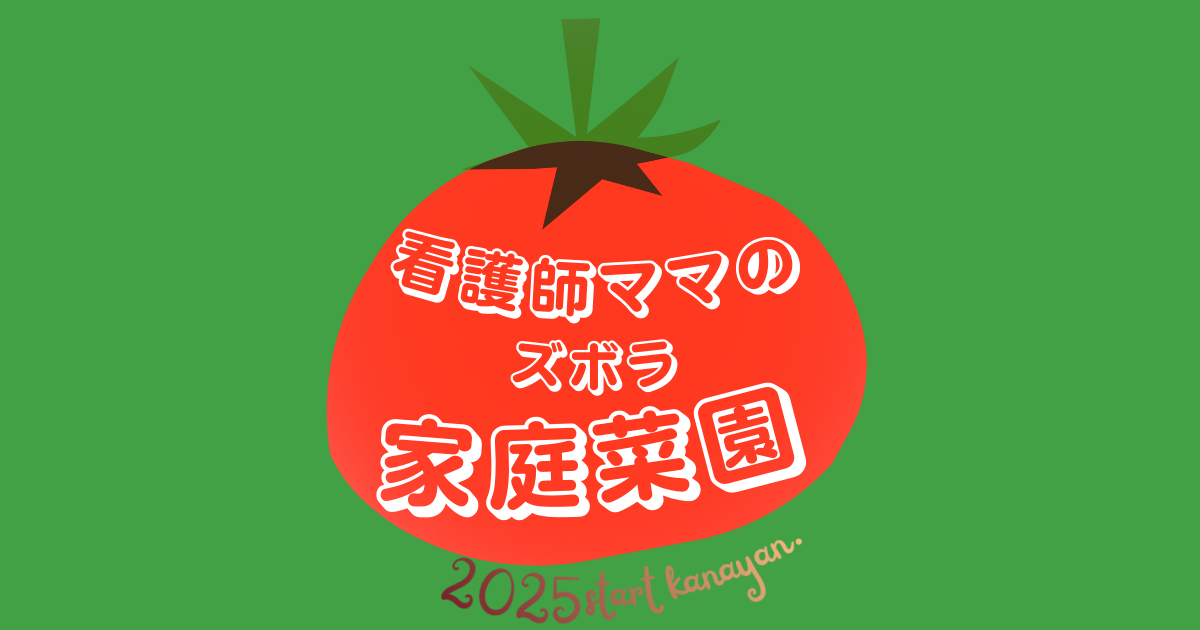 看護師ママのズボラ家庭菜園