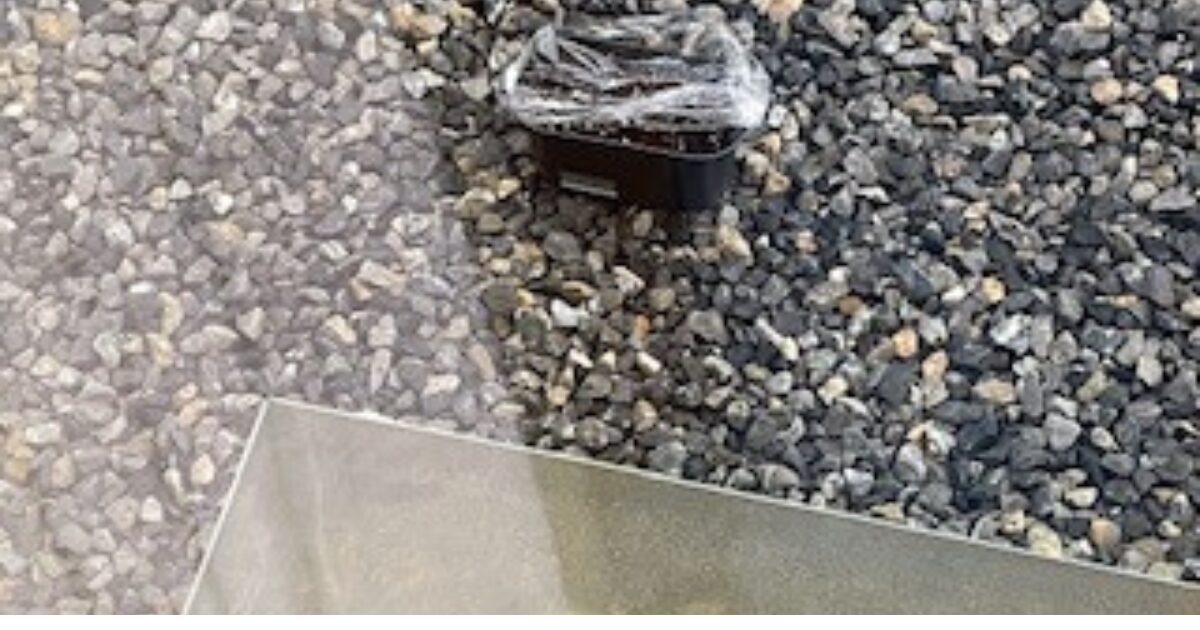 1月にプランターで野菜を育てている様子を家の中から観察している