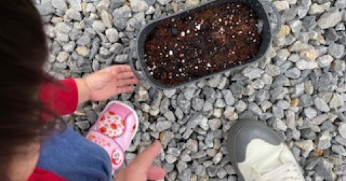 親子でプランターを見ている